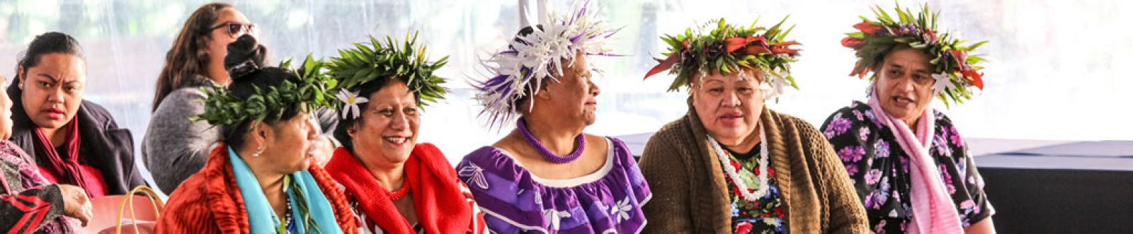 Pasifika Community Centre-banner