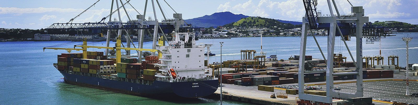 mit-city-and-mit-mahurangi-campuses